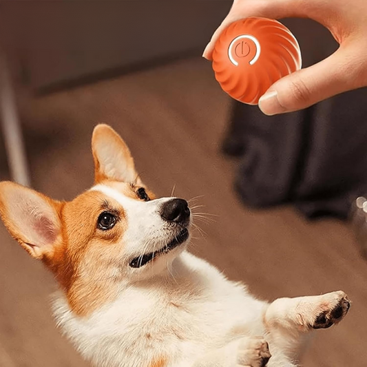 TrainingBall